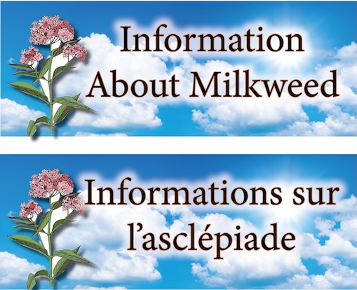 Milkweed Information